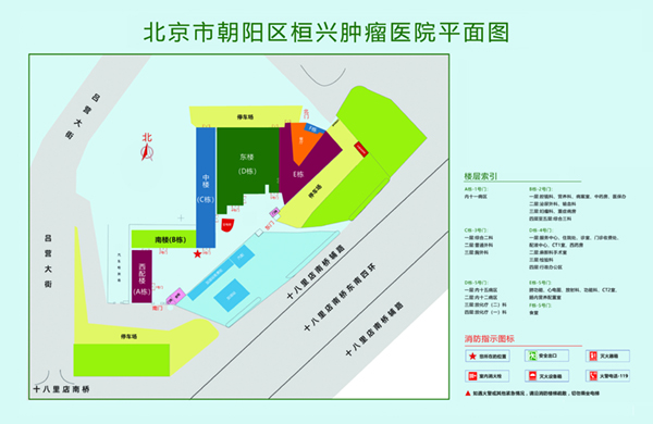 草逼大鸡巴北京市朝阳区桓兴肿瘤医院平面图